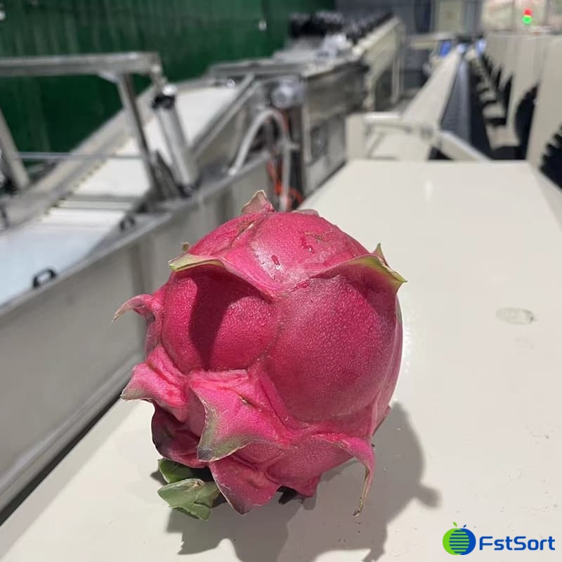 images/1657879401863dragon fruit classifier.jpg